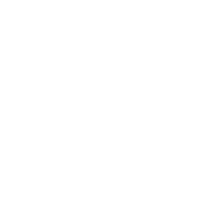 Taurus Logo